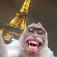 Monkey in Paris