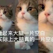 七七不喜欢打游戏