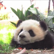 大点声，银河战舰引擎声音太大了，我听不见