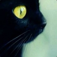 听说你腿很长哦