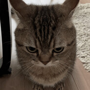 197's avatar