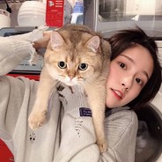 守得花开见明月