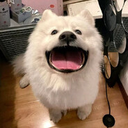 别打我是瓦学弟