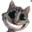 Peťo
