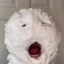 bac de pisse