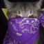 sabelhg/youtube