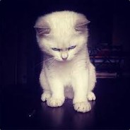 elo