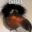 6894 дней без секса