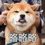 秀秀秀死乐多