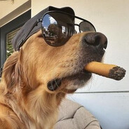 salam alejkum - steam id 76561199143803024