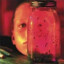 Jar of Flies