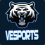 Vesports