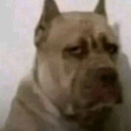 LonovF - steam id 76561199244817331