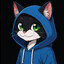 CraftyCat12
