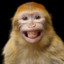 Monke