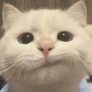 夏商周秦汉你等着北朝