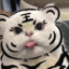 ぃ安之若素丶