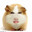 Hamster