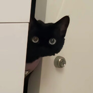 把我惹毛了我就毛茸茸的