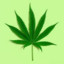 i like weed *************