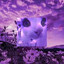 meow@yahoo.com