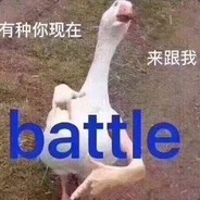 来和我battle啊