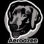 Aerodzee