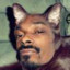 Snoopcatt