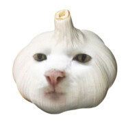 Garlicat