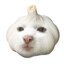 Garlicat