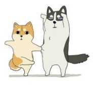 陈胖胖的柠檬酱