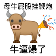 小母牛辟谷塞鞭炮