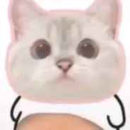 陈赌狗不得好死~