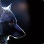 dire_wolf