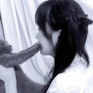 青青草原懒大王