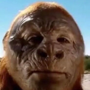 Sasquatch