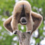 StuffyGibbon