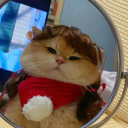 能力越小责任越小