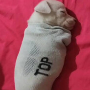 Little dih big dreams's avatar