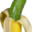 PickleMeThis