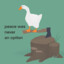 quack quack I&#039;m a duck