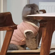 旺仔牛奶直销商