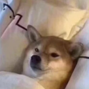 [演猿] I am not God