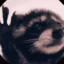 Pedro Raccoonovich