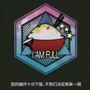 486不打游戏难道开音趴