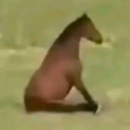 Dee