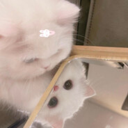 让我看看到哪啦