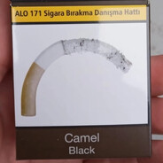CamelBlack avatar