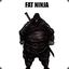 FatNinja