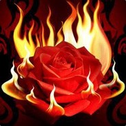 🌹UpadłaRóża🌹